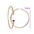 halpa Muotikorvakorut-Minmin Naisten Yksinkertainen tyyli Big Circle Pattern 18K korvakorut