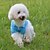 billiga Hundkläder-Hund T-shirt Valpkläder Enfärgad Ledigt / vardag Minimalistisk Stil Hundkläder Valpkläder Hundkläder Gul Röd Blå Kostym för tikar och hundar Bomull XS S M L XL