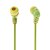levne TWS Pravá bezdrátová sluchátka-3,5 mm sluchátka do uší sluchátka pro mobil a MP3/MP4