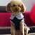 preiswerte Hundekleidung-Hund Kleider Punkt Hundekleidung Schwarz Kostüm Baumwolle XS S M L XL