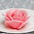 abordables Bougies pour Invités-Rose rose Bougie