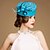 Χαμηλού Κόστους Κεφαλό Γάμου-Γυναικείο Κορίτσι Λουλουδιών Μαλλί Headpiece-Γάμος Ειδική Περίσταση Καθημερινά Υπαίθριο Καπέλα