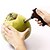 billige Køkkenredskaber og gadgets-nem kokosnødsåbner borehulsaftager