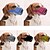 voordelige Hondenhalsbanden, tuigjes &amp; riemen-Hond Muilkorven Ademend anti Bark Veiligheid Nylon Gouden Zwart