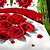 cheap Vip Deal-Ailianna 4 Piece 3D Bouquet Of Roses Print Duvet Set