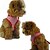baratos Coleiras, Trelas e Peitorais para Cães-Cachorro Arreios Trelas Retratável Têxtil Cachorro pequeno Cão Médio Cão grande Preto Vermelho