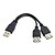 cheap USB Cables-USB 2.0 A Male to Dual Data USB 2.0 A Female + Power Cable USB 2.0 A Female Extension Cable 20cm