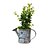 voordelige Vazen &amp; mandjes-Vintage Style Mini Plant Pot en smeedijzeren Bloem Gieter