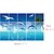 billige Kjøkkenrengjøring-Doudouwo ® Animals The Dolphin Anti-Olje Wall Stickers