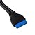 ieftine Cabluri &amp; Adaptoare-USB3.0 cablu adaptor USB3.0 20pin Placa de transfer de date Adaptor două femei Transport Gratuit
