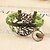 cheap Bracelets-Green Trees With Birds Braided Bracelet Christmas Gifts