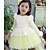 levne Šaty-Girl&#039;s Fashion Flower  Dresses  Lovely Princess Fall  Dresses