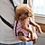 お買い得  犬用旅行グッズ-ネコ 犬 キャリーバッグ フロントバックパック 携帯用 リボン コットン