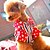abordables Ropa para perro-Perro Camiseta Ropa para Perro Ropa para cachorros Trajes De Perro Rojo Azul Disfraz para perro niña y niño Algodón XXS XS S M L