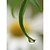 baratos Cortinas &amp; Corta-luz-folha estilo botânico&amp;amp; minúscula flor máscara do rolo
