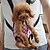 baratos Essenciais de Viagens para Cães-Gato Cachorro Tranportadoras e Malas frente Backpack Portátil Com Laço Algodão