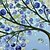 voordelige Schilderijen van bloemen/planten-Handgeschilderde Bloemenmotief/Botanisch Vaakatasoinen panoraama, Klassiek Traditioneel Hang-geschilderd olieverfschilderij Huisdecoratie