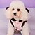 economico Vestiti per cani-Gatto Cane Cappottini Inverno Abbigliamento per cani Blu Rosa Costume Nylon Cotone XS S M L XL