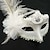 cheap Accessories-Lacy and Ostrich Leather Decorated Holloween Mask (3pcs/pack)