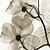 economico Stampe-trasferimenti su tela set di stampa botanica secco floreale di 3 1301-0228