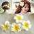 cheap Hair Jewelry-Women&#039;s Girls&#039; Hairpins For Daily Flower Flower Fabric