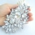 cheap Pins and Brooches-Women&#039;s Crystal Brooches Flower Statement Ladies Luxury Fashion fancy Crystal Rhinestone Brooch Jewelry White Silver For Party Wedding Special Occasion Birthday Gift Casual size 6.5*11cm