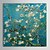 olcso Olajfestmények-vászon olajfestmények mandula ágak virágzás, san remy, c.1890 vincent van gogh kézzel festett készen áll