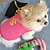cheap Dog Clothes-Cat Dog Shirt / T-Shirt Puppy Clothes Cosplay Wedding Dog Clothes Puppy Clothes Dog Outfits Black Blue Pink Costume for Girl and Boy Dog Terylene XS S M L