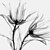 voordelige Prints-Ingelijst canvas Ingelijste set - Bloemenmotief / Botanisch PVC Illustratie Muurkunst