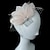 abordables Chapeaux et coiffes-Femme Plume Casque-Mariage Occasion spéciale Coiffure