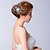 voordelige Bruiloft Zendspoel-Vrouwen Licht Metaal Kubieke Zirkonia Helm-Bruiloft Speciale gelegenheden Bloemen Haarspeld