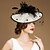 cheap Headpieces-Flax Kentucky Derby Hat / Hats with Feathers / Fur 1 Piece Headpiece