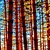 abordables Impresiones-arte de la lona estirada de madera roja conjunto pintura decorativa de 5