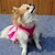 economico Vestiti per cani-Gatto Cane Vestiti Cosplay Matrimonio Abbigliamento per cani Rosa Costume Cotone XS S M L