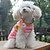 cheap Dog Clothes-Cat Dog Sweater Sweatshirt Heart Casual / Daily Winter Dog Clothes Pink Costume Polar Fleece XS S M L XL