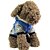 Недорогие Одежда для собак-Кошка Собака Плащи Пайетки на открытом воздухе Зима Одежда для собак Красный Синий Костюм Кожа PU Хлопок S M L XL