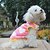 voordelige Hondenkleding-Kat Hond Truien Sweatshirt Hart Casual / Dagelijks Winter Hondenkleding Roze Kostuum Fleece XS S M L XL