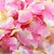 preiswerte Zeremoniedekoration-Set von 100 Blütenblätter Rosenblüten Tischdekoration (Farbe sortiert)