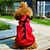 preiswerte Hundekleidung-Katze Hund Kostüme Kapuzenshirts Austattungen Tier Cosplay Hochzeit Halloween Winter Hundekleidung Welpenkleidung Hunde-Outfits Rot Grün Kostüm für Mädchen und Jungen Hund Polar-Fleece XS S M L XL