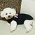 cheap Dog Clothes-Cat Dog Shirt / T-Shirt Puppy Clothes Cartoon Letter &amp; Number Cosplay Wedding Dog Clothes Puppy Clothes Dog Outfits Black Costume for Girl and Boy Dog Cotton XS S M L