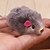 levne Hračky pro psy-Cat Teasers Cat Kitten Pet Toy Mouse Textile Gift