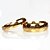 זול Fashion Ring-בגדי ריקוד נשים טבעות לזוג - פלדת על חלד אופנתי מוזהב עבור יומי / קזו&#039;אל
