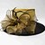 abordables Sombreros de fiesta-Organdí Sombrero Derby De Kentucky / Sombreros con 1 Ocasión especial Celada