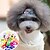 billiga Hundkläder-Hund Håraccessoarer Valpkläder Hundkläder Valpkläder Hundkläder Purpur Gul Blå Kostym för tikar och hundar Plast