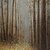 levne Krajinomalby-Hang-malované olejomalba Ručně malované - Krajina / Květinový / Botanický motiv Moderní Plátno