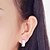 cheap Earrings-Women&#039;s Cubic Zirconia Stud Earrings Sterling Silver Cubic Zirconia Earrings Jewelry Silver For Party Wedding Casual Daily