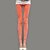 cheap Leggings-Women Fashion  Bodycon Leggings(More Colors)