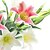 olcso Művirág-Művirágok 1 Ág Modern stílus Liliom Asztali virág
