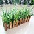 baratos Flor artificial-folhas de eucalipto + 30 centímetros cerca de carvão vegetal com flores de seda falsos, de plástico