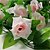 cheap Wedding Decorations-Wedding Flowers Bouquets / Others / Decorations Wedding / Party / Evening Material / Lace / Silk 0-20cm